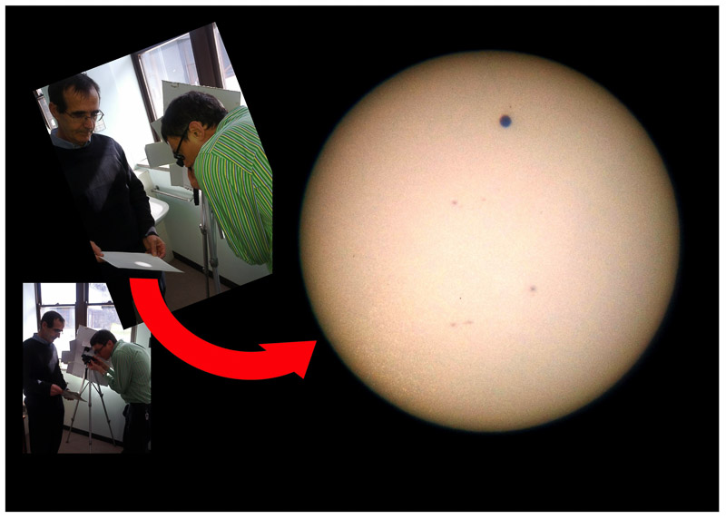 Image number, category and title are below the image 