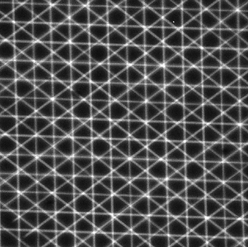 Image number, category and title are below the image 