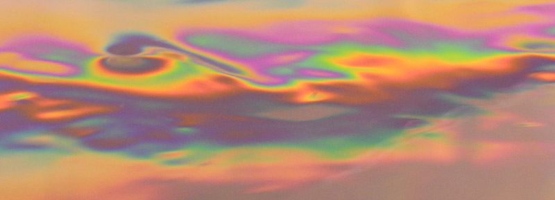 Image number, category and title are below the image 