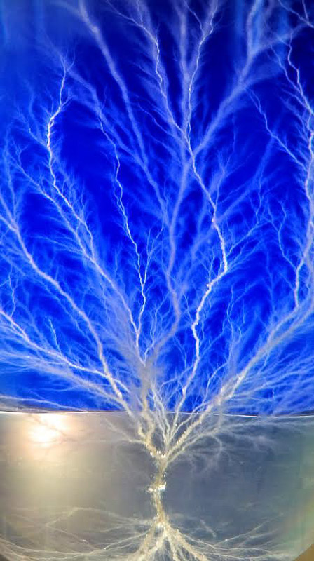 Image number, category and title are below the image 