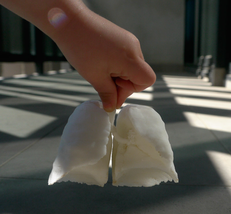 Image number, category and title are below the image 