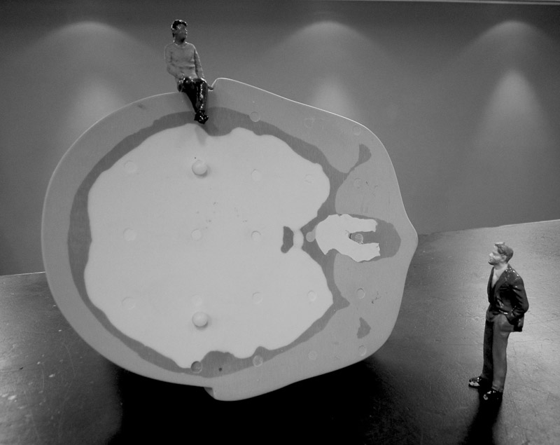 Image number, category and title are below the image 