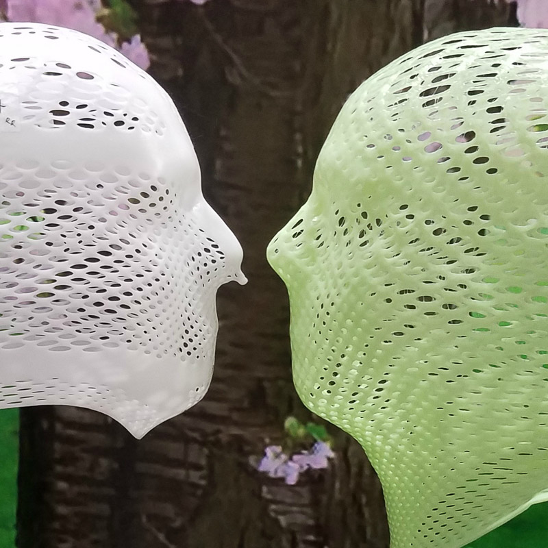 Image number and title are below the image 