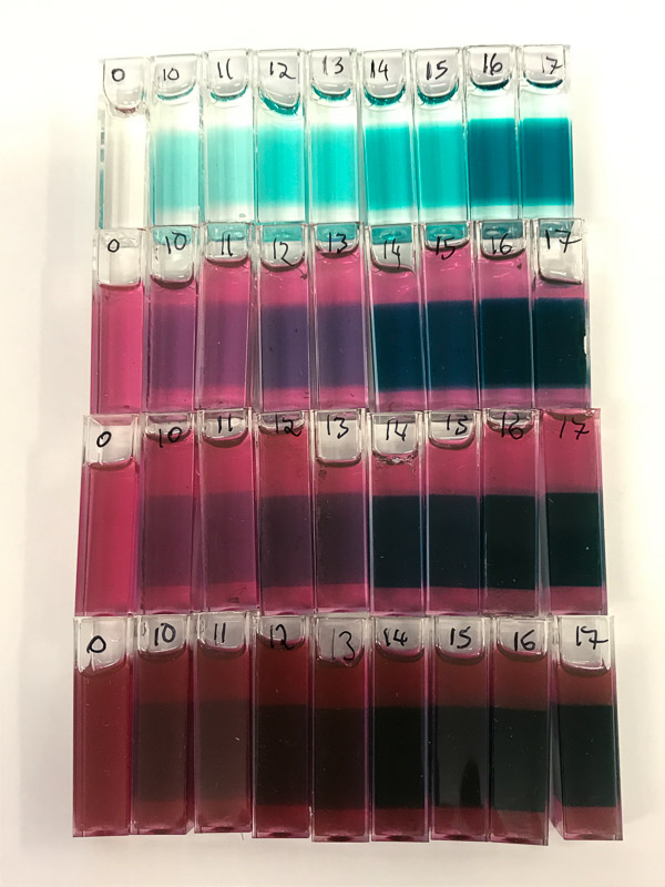 Image number and title are below the image 