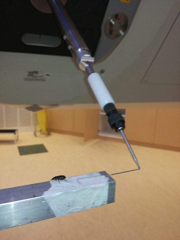 Image number and title are below the image 